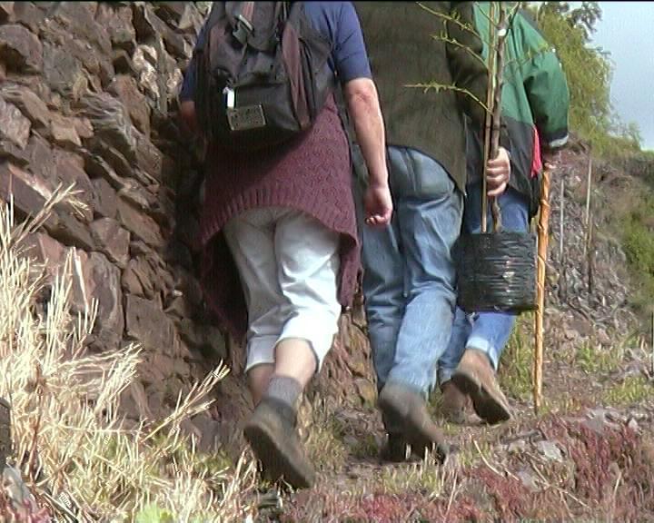 Willa Kleines Winzerhauschen Bremm Pokój zdjęcie