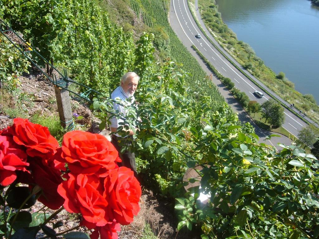 Willa Kleines Winzerhauschen Bremm Pokój zdjęcie