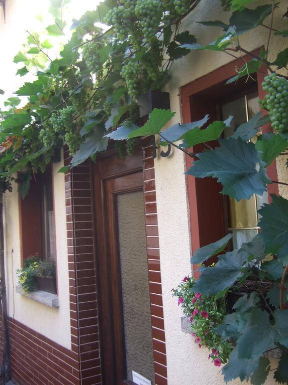 Willa Kleines Winzerhauschen Bremm Zewnętrze zdjęcie