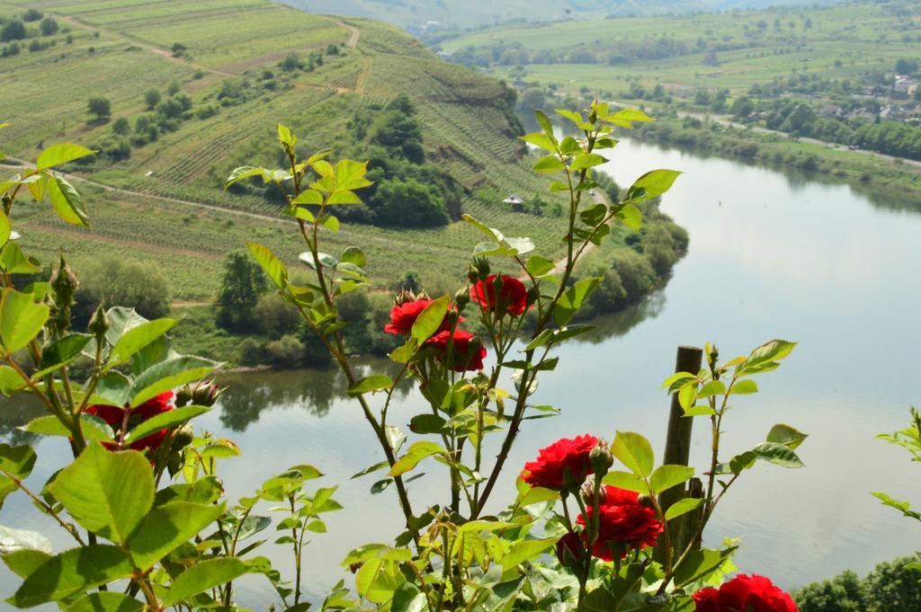 Willa Kleines Winzerhauschen Bremm Zewnętrze zdjęcie